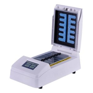 hibridizációs rendszer