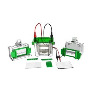 mini vertikális elektroforézis cell