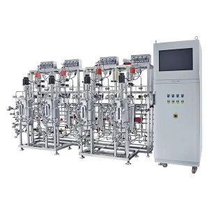 több párhuzamos rozsdamentes acél erjesztő