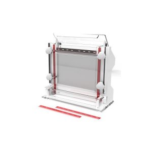 nukleinsav-szekvenálás elektroforézis sejt